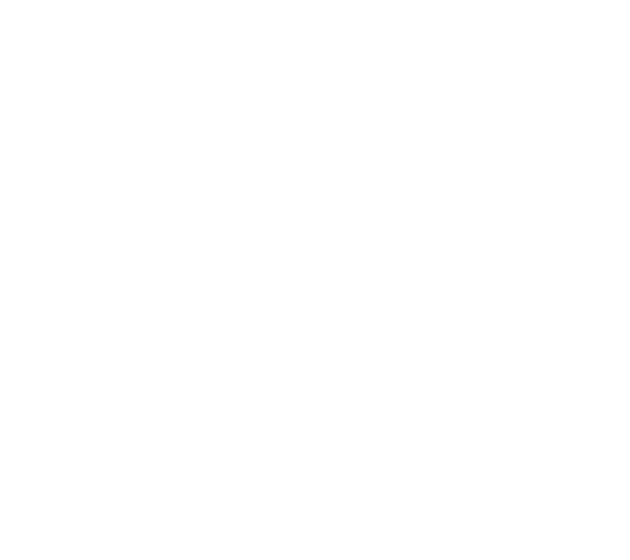 Smart Store payment